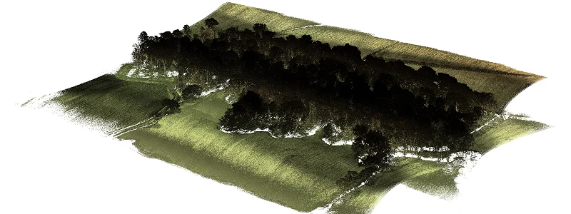 AI model focusing on irrelevant background features